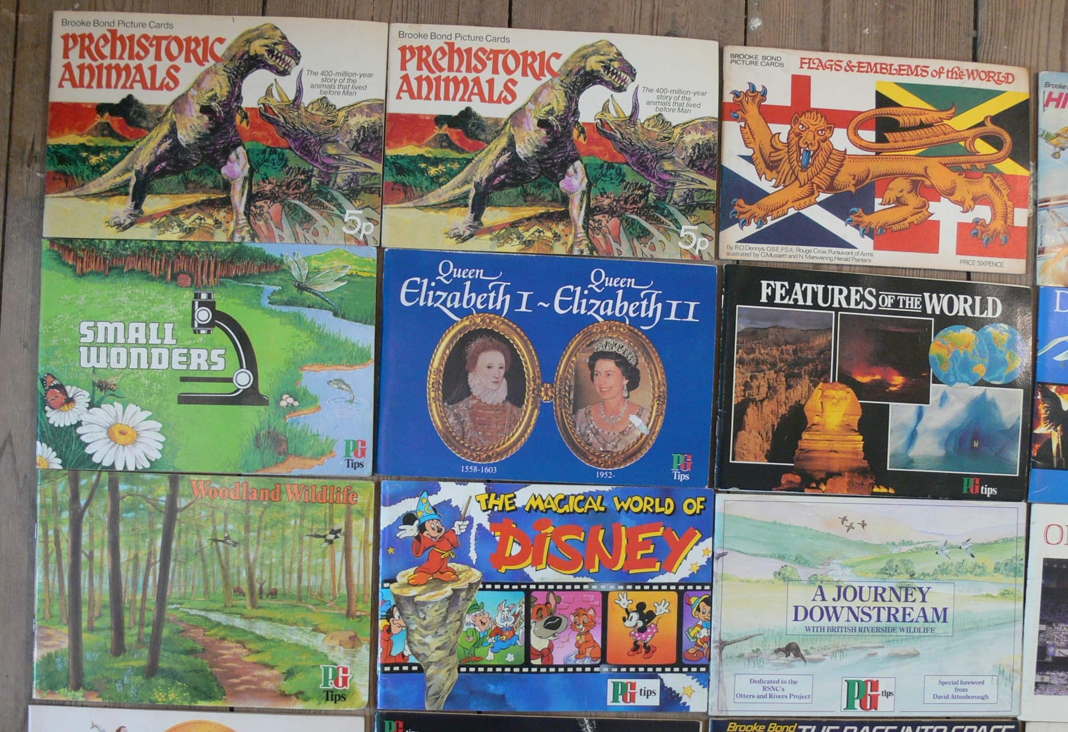 A Collection Of 28 Vintage PG Tips Card Books